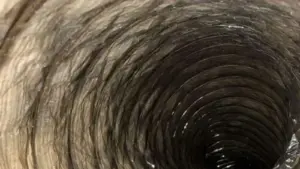 A close-up shot of a detached and dusty aluminum dryer duct joint inside a warm, sunlit Tampa residential attic space, s